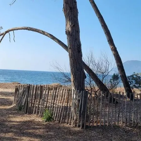 Mandrier Pin Rolland Climatise 2 Pers Parking Pinede, A Pied *